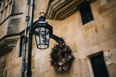 Low angle view of potted plant against building