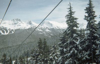 Snow covered mountains