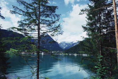 Scenic view of lake in forest against sky