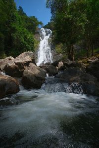 Stream flowing through rocks in forest