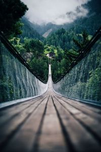 Footbridge amidst trees in forest against sky