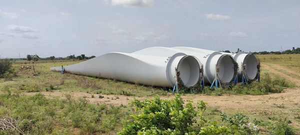 Plants on field against sky