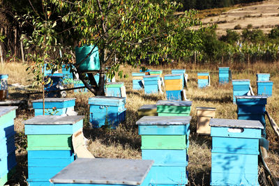 Painted wooden beehives with active honey bees