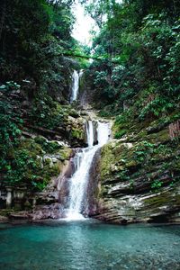 Scenic view of waterfall in forest