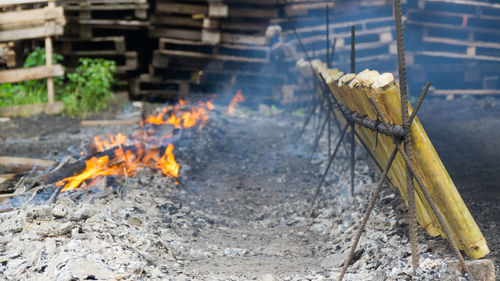 Bonfire on wooden log