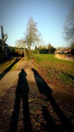 Shadow of person on field against clear sky