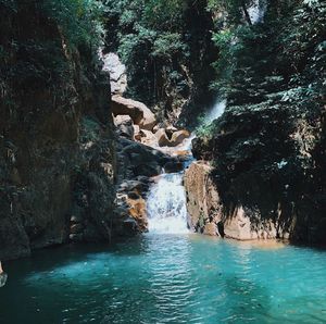 Scenic view of waterfall in forest