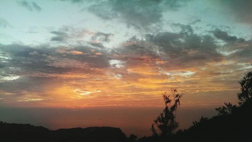 Silhouette trees against dramatic sky during sunset