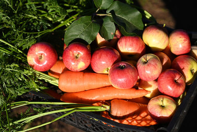 Close-up of fruits on table