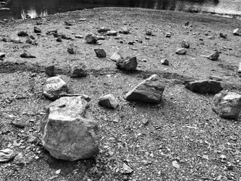 Close-up of pebbles