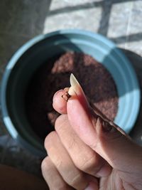 Close-up of hand holding leaf