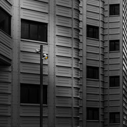 Low angle view of building