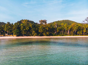 Scenic view of sea and beach against sky