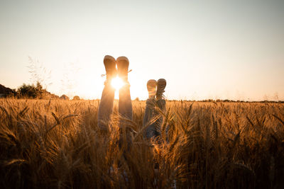 Scenic view of field against clear sky during sunset