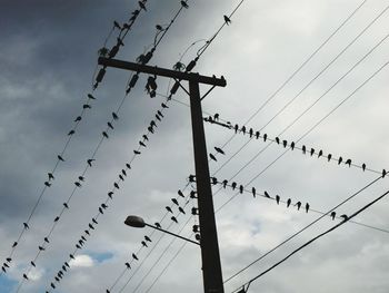 Low angle view of birds perching on cable against sky