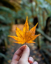 Close-up of hand holding autumn leaf