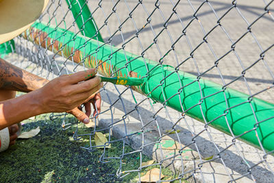 Cropped hand of man painting green color on chainlink fence