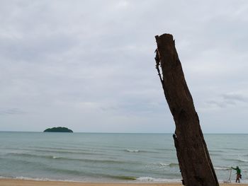 Wooden posts on beach against sky