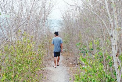 Rear view of man walking on footpath in forest