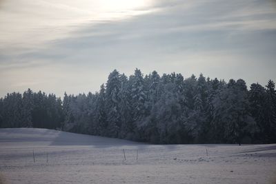 Snow covered forest with snowy meadows in front