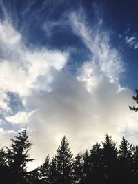 Low angle view of silhouette trees against sky