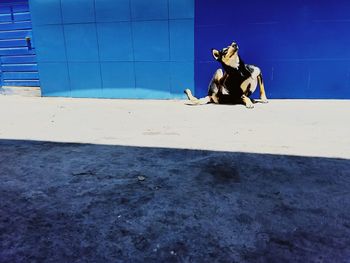 Full length of man sitting outdoors