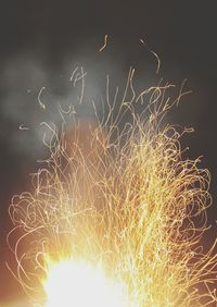 Close-up of fireworks against sky at night