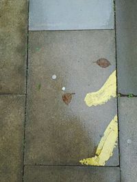 High angle view of yellow leaves on footpath