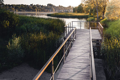 Footpath by lake against trees