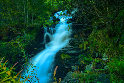 Waterfall in forest