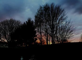 Silhouette of trees at sunset