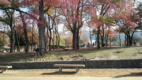 View of a park sitting on bench