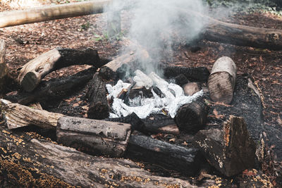 High angle view of bonfire in forest