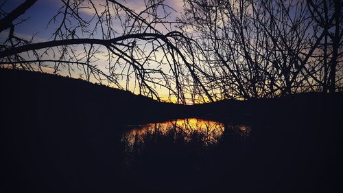 Close-up of silhouette tree against sky during sunset