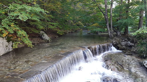 Scenic view of waterfall in forest