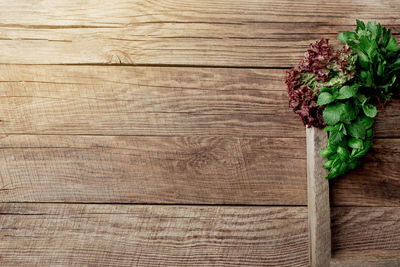 Directly above shot of flowering plant on table