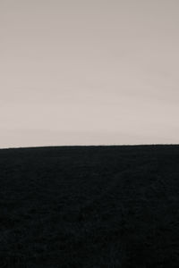 Scenic view of field against clear sky