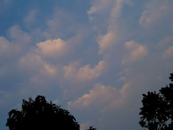 Low angle view of trees against cloudy sky