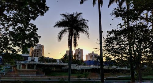 Silhouette palm trees and buildings against sky during sunset