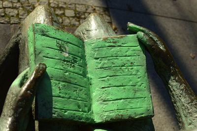 Close-up of green leaf