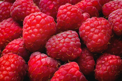 Background of fresh, juicy and ripe raspberries, macro photography. background of fresh raspberries