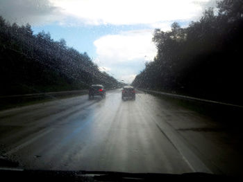 Road passing through trees