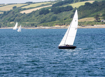 Sailboat sailing on sea against sky