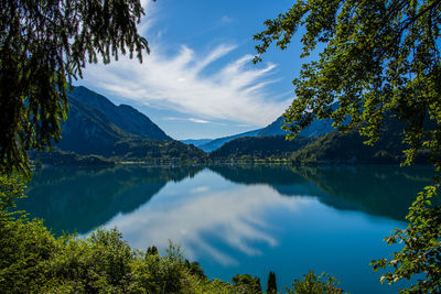 Scenic view of lake and trees against sky