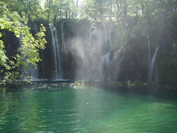 Waterfall in forest