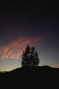 Low angle view of silhouette trees against sky during sunset