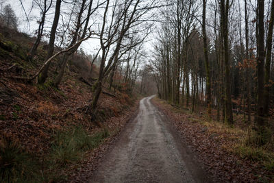 Dirt road amidst trees in forest