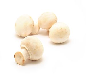 High angle view of eggs against white background