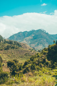 Scenic view of landscape against sky