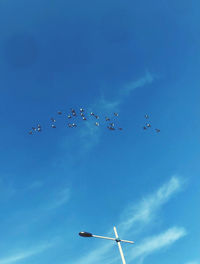 Low angle view of birds flying against sky